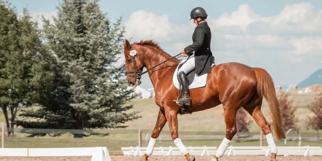 How can I learn horse riding without a trainer?