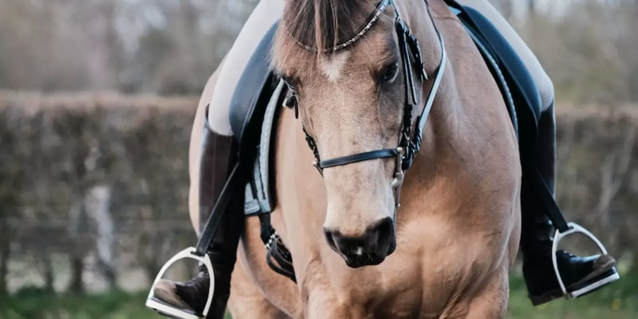 What should you not wear when riding a horse?